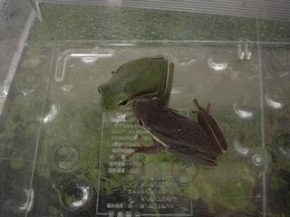DSC05213.JPG
