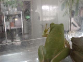 DSC05269.JPG