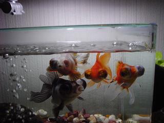 DSC05277.JPG