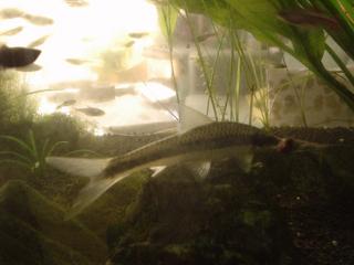DSC05497.JPG