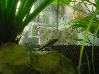 DSC05500.JPG