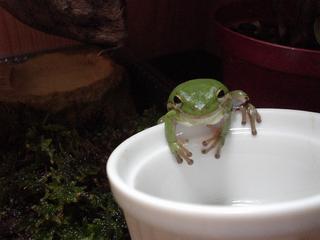 DSC05504.JPG