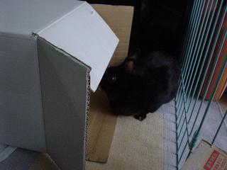 DSC05521.JPG