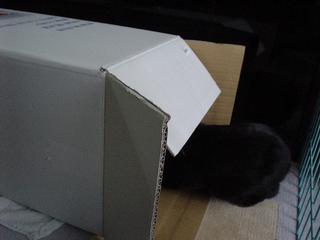 DSC05525.JPG