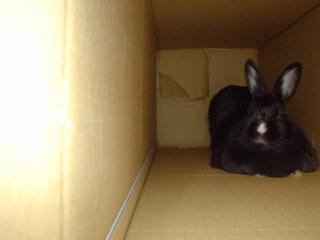 DSC05527.JPG